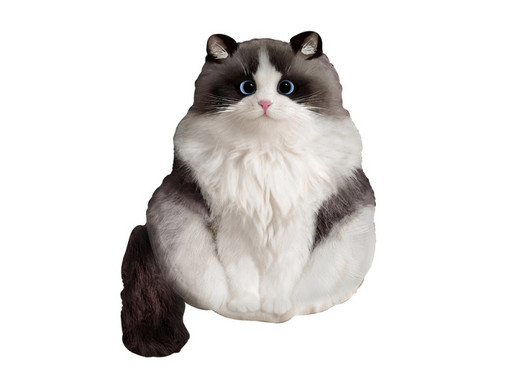 Кот Пушистый