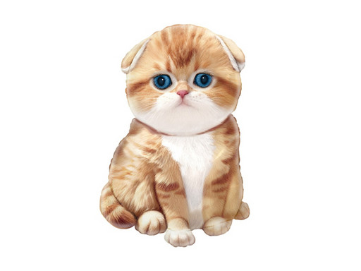 Котик рыжий